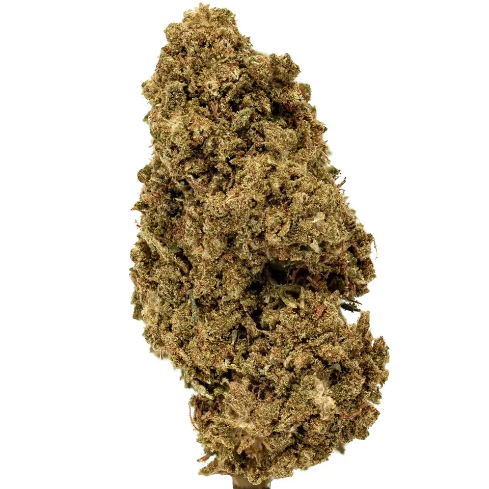 Hemēka Fleurs CBD AK-47 fleur CBD 2 g serre boisée