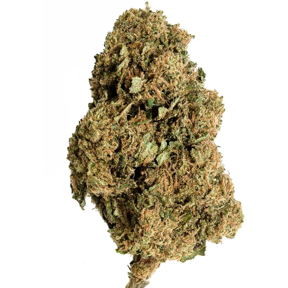 Hemēka Fleurs CBD Harlequin Hydro 1 gramme indoor