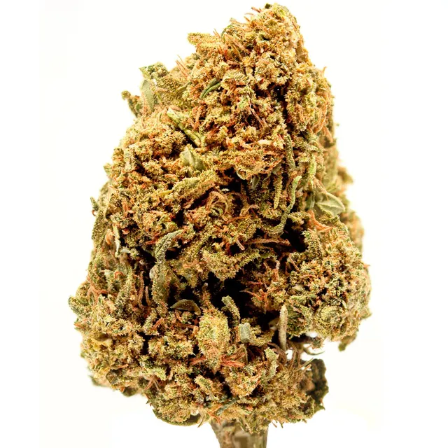 Hemēka Gelato fleur CBD 2 grammes biscuit vanillé