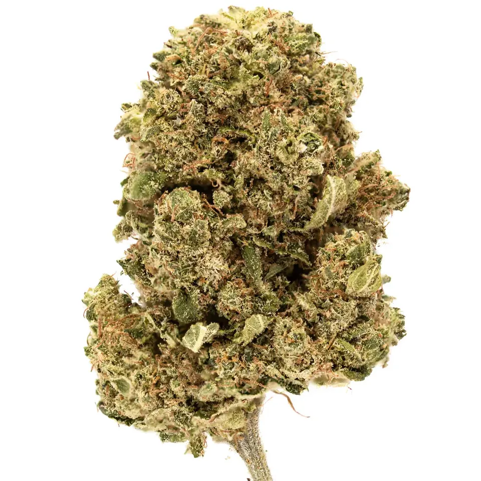 Hemēka Apple Fritter fleur CBD 3 g pomme