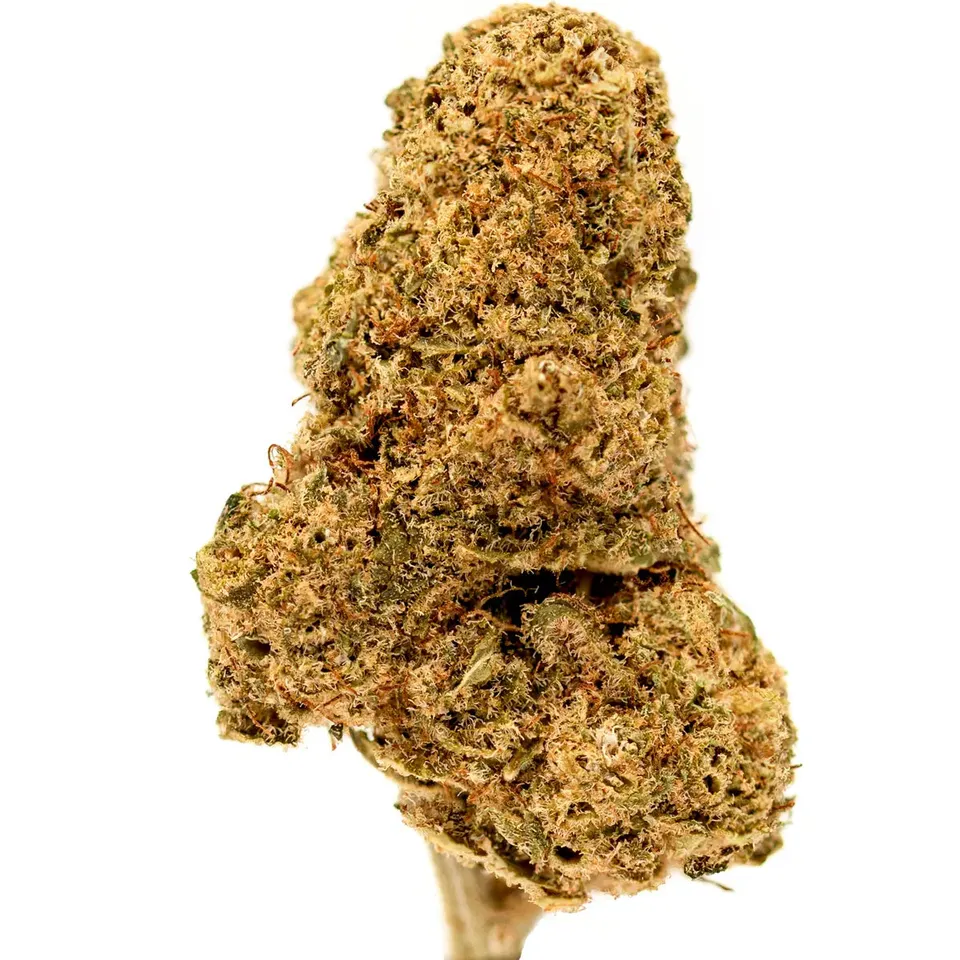 Hemēka Fleurs CBD OG Diamond fleur indoor 1 gramme