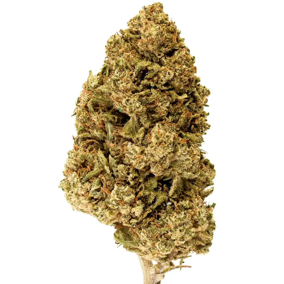 Hemēka Fleurs CBD Northern Lights 2 grammes greenhouse