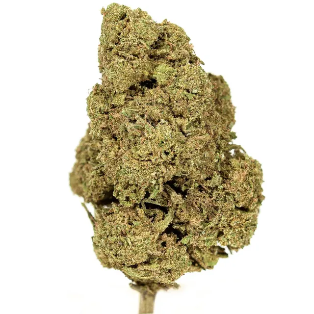 Hemēka Amnesia Lemon fleur CBD 1 g citron