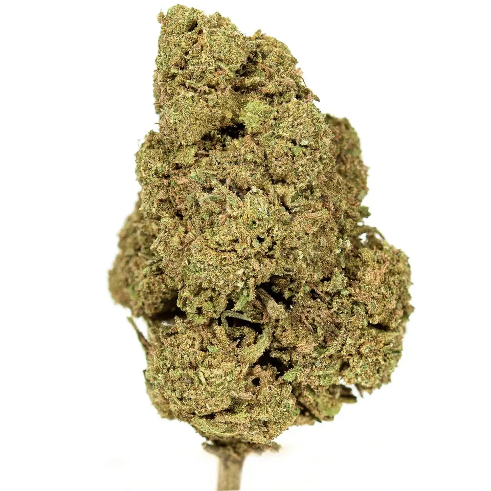 Hemēka Amnesia Lemon fleur CBD 1 g citron