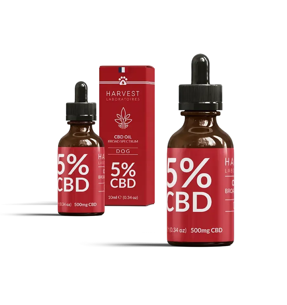 Harvest Laboratories Pack CBD Bien-Être Chien 2x huile 5% bœuf