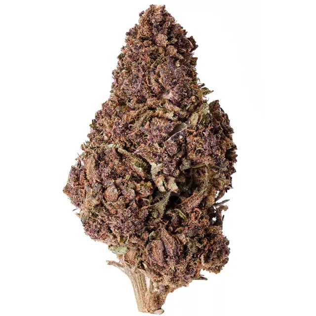 Hemēka Fleurs CBD Purple Punch fleur fruitée 2 grammes