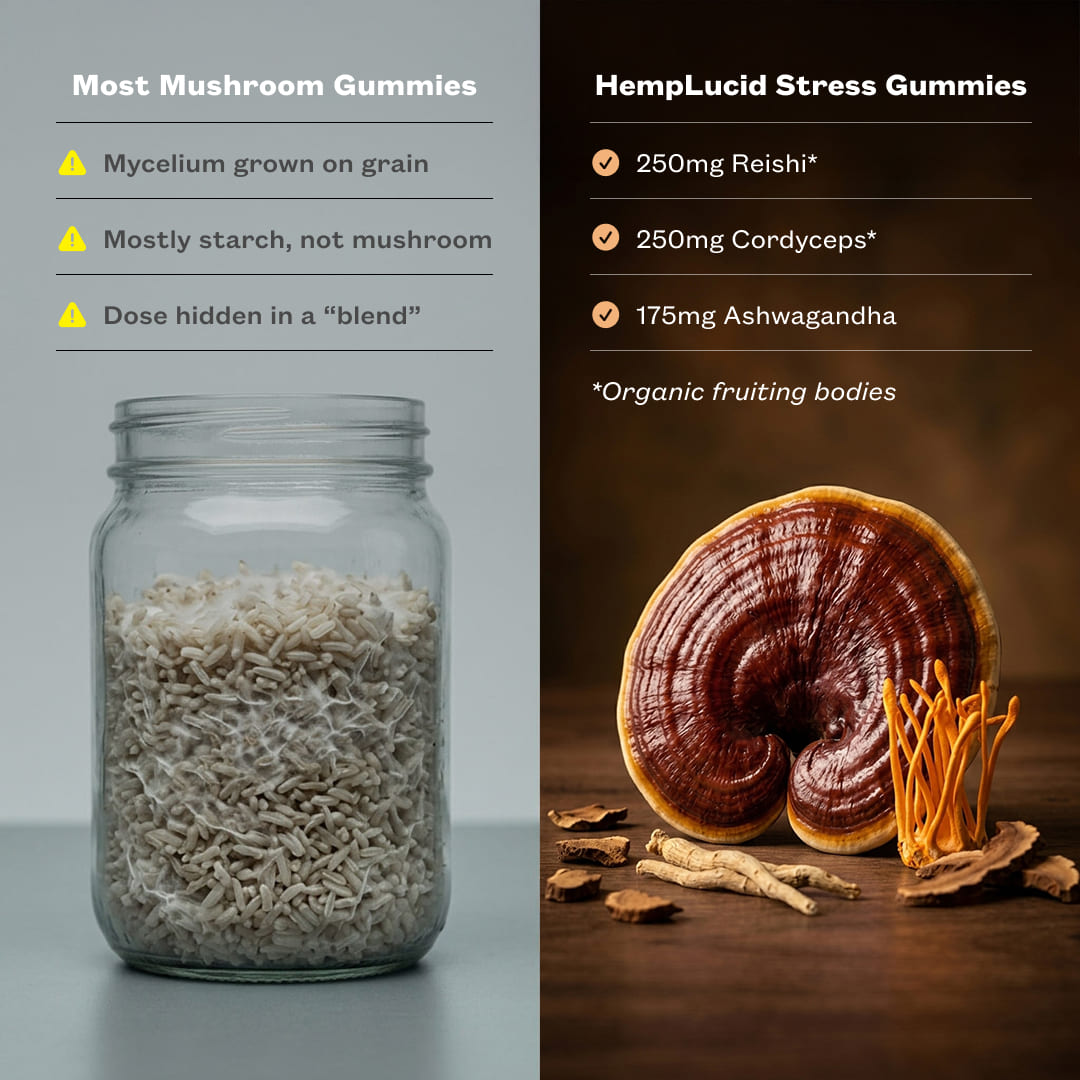 Hemplucid Mushrooms Stress gummies CBD pastèque 30