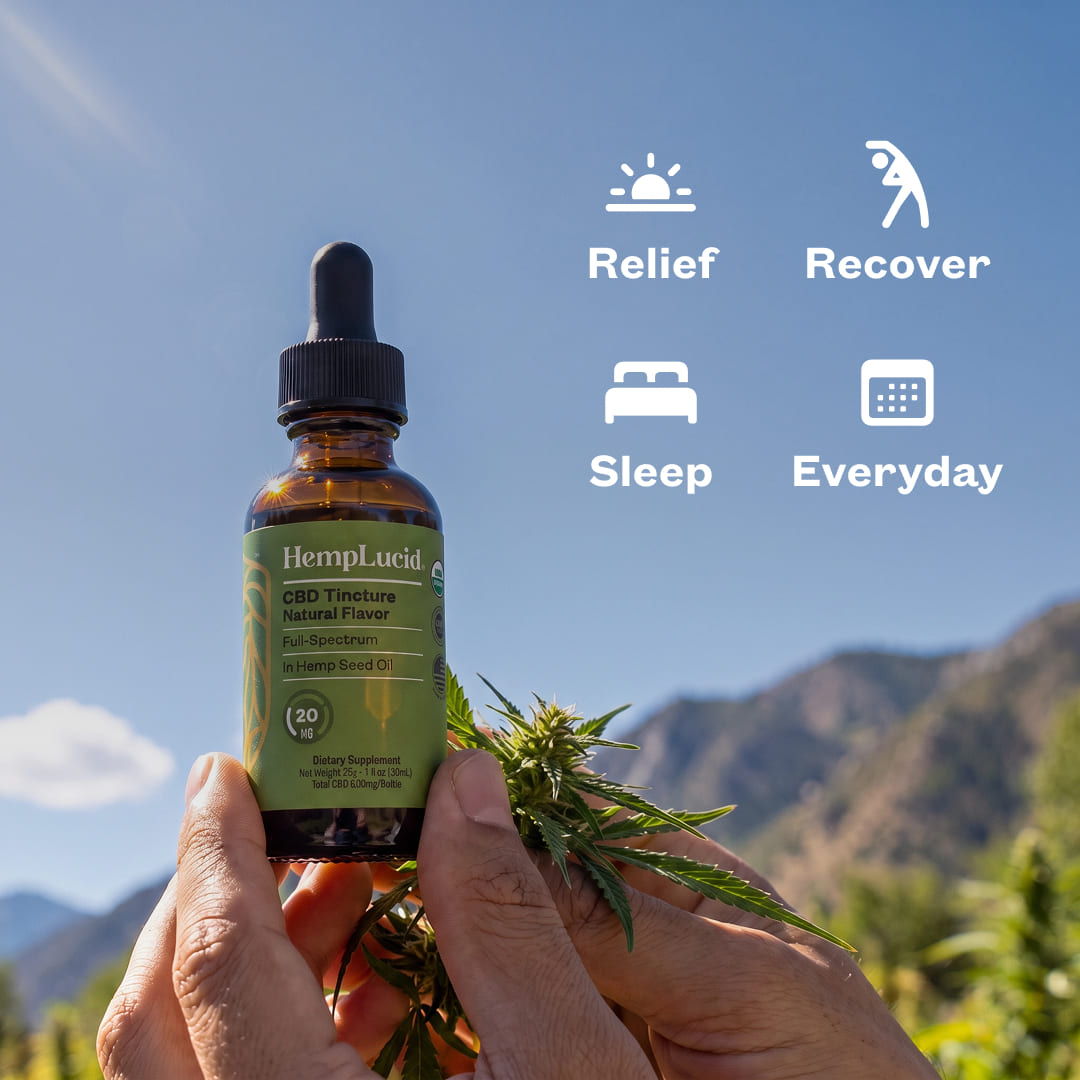 Hemplucid CBD huile bio 600 mg graine de chanvre