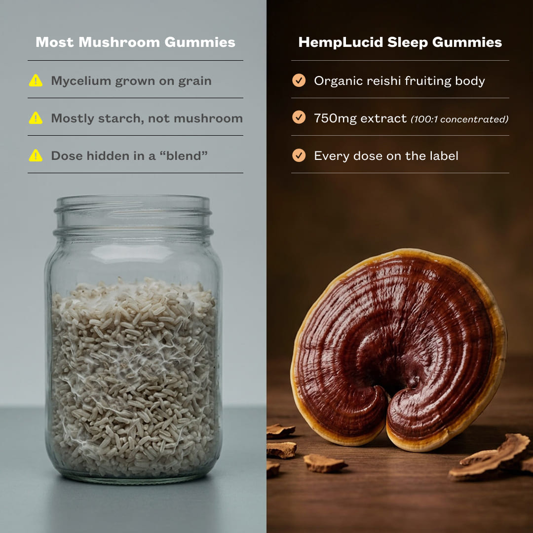 Hemplucid Mushrooms Sleep CBN Gummies myrtille citron 30 cubes