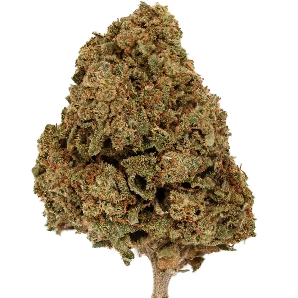 Hemēka Blueberry Haze fleur CBD 5 grammes serre